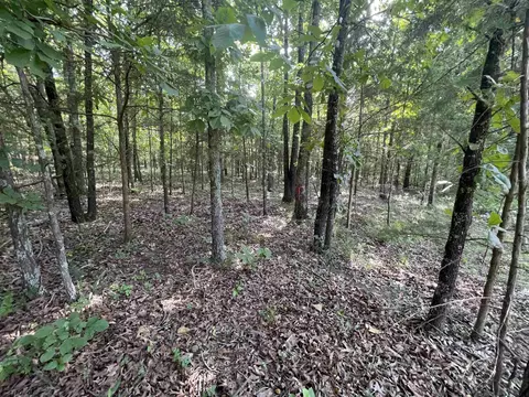 743 The Day Rd, Ash Flat, AR 72513 photo 4