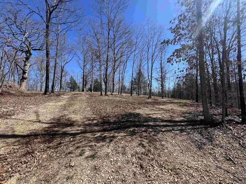 4411 Red Bluff Rd, Marshall, AR 72650 photo 29