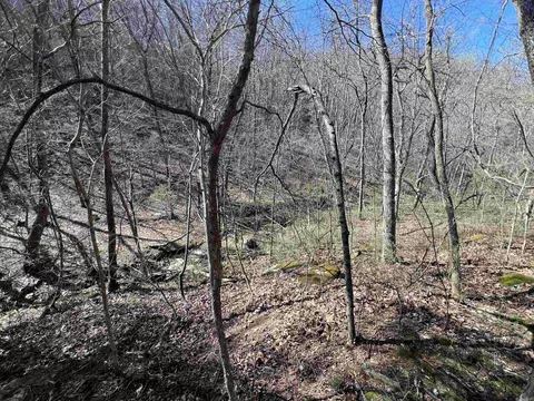 4411 Red Bluff Rd, Marshall, AR 72650 photo 4