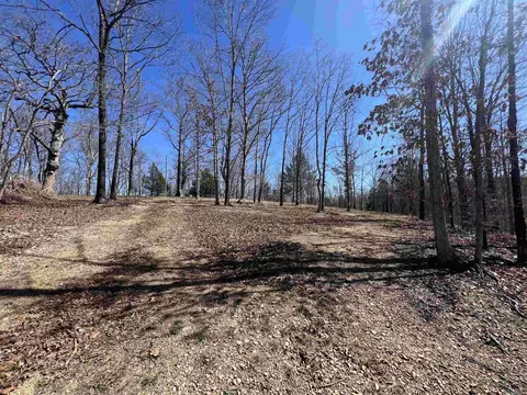 4411 Red Bluff Rd, Marshall, AR 72650 photo 29