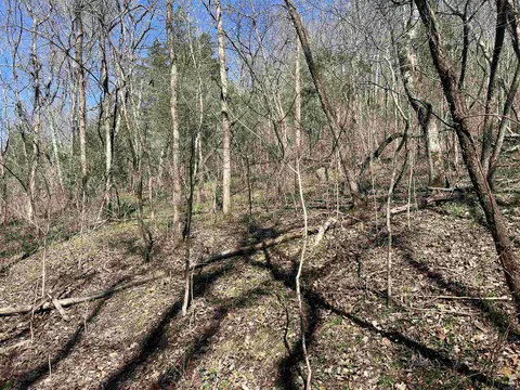 4411 Red Bluff Rd, Marshall, AR 72650 photo 9