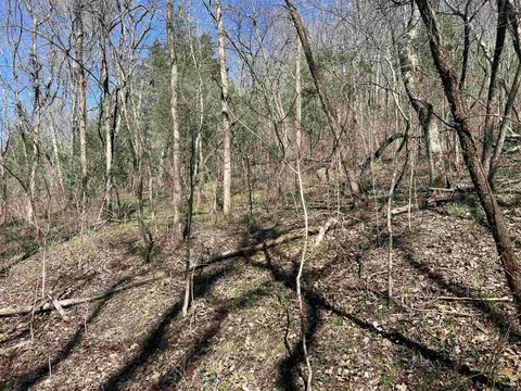 4411 Red Bluff Rd, Marshall, AR 72650 photo 9