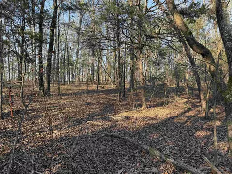 00 Highway 336 E, Clinton, AR 72031 photo 8