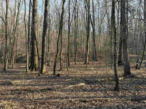 00 Highway 336 E, Clinton, AR 72031 photo 2