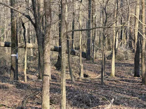 00 Highway 336 E, Clinton, AR 72031 photo 3