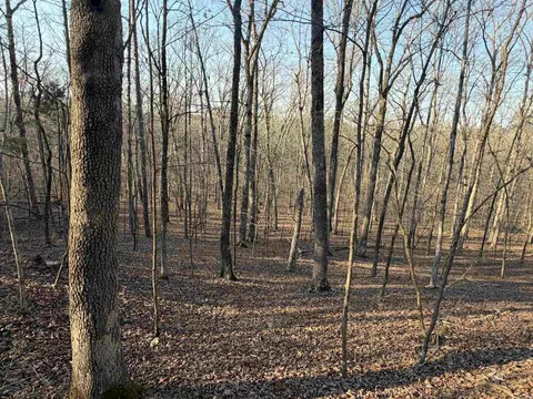 00 Highway 336 E, Clinton, AR 72031 photo 7