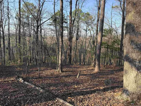 00 Highway 336 E, Clinton, AR 72031 photo 9