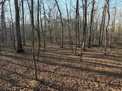 00 Highway 336 E, Clinton, AR 72031 photo 4