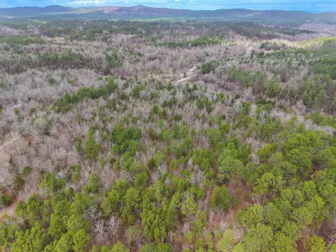 tbd Gaston Rd, Mount Ida, AR 71957