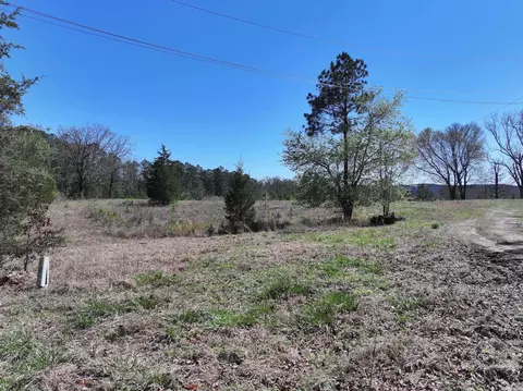 761 Richardson, Amity, AR 71921