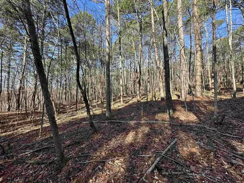 000 Bear Mountain Rd, Prim, AR 72130 photo 2
