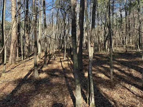 000 Bear Mountain Rd, Prim, AR 72130 photo 25