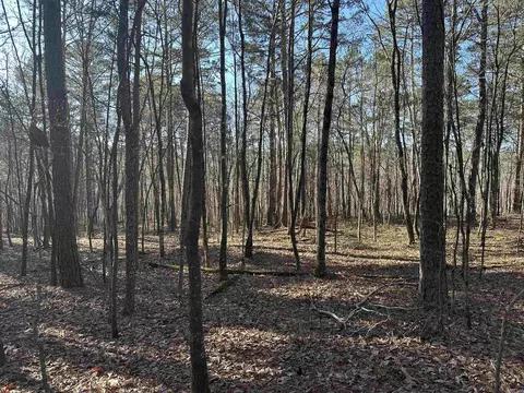 000 Bear Mountain Rd, Prim, AR 72130 photo 28