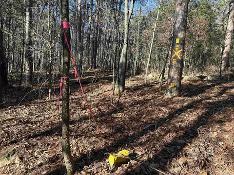 000 Bear Mountain Rd, Prim, AR 72130 photo 9