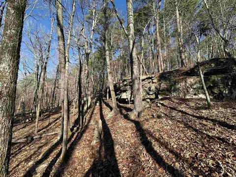 000 Bear Mountain Rd, Prim, AR 72130 photo 4