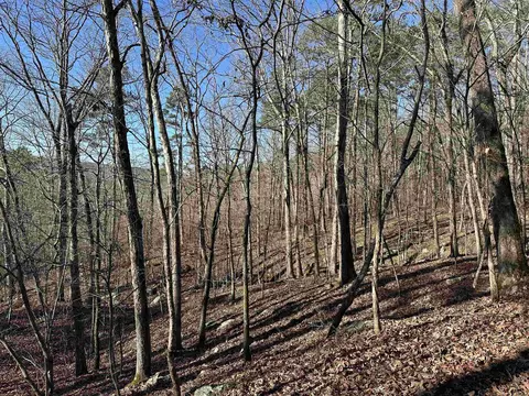 000 Bear Mountain Rd, Prim, AR 72130 photo 14