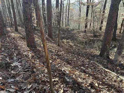 000 Bear Mountain Rd, Prim, AR 72130 photo 19