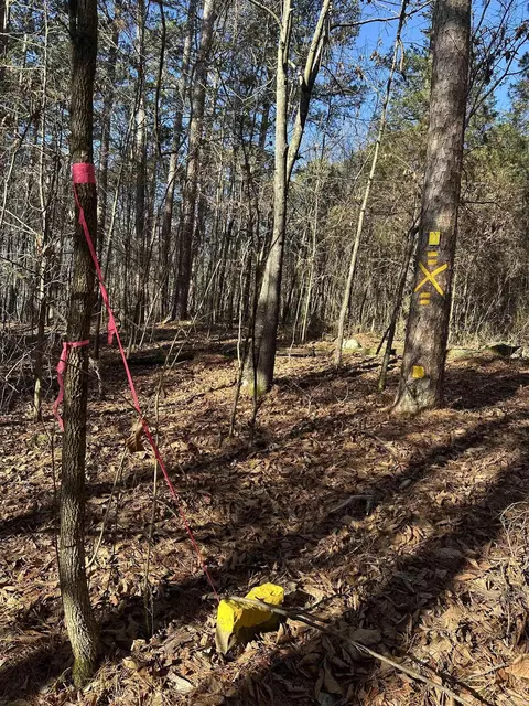 000 Bear Mountain Rd, Prim, AR 72130 photo 31