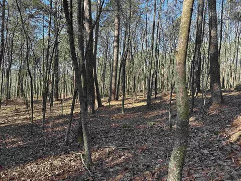 000 Bear Mountain Rd, Prim, AR 72130 photo 27