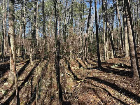 000 Bear Mountain Rd, Prim, AR 72130 photo 22