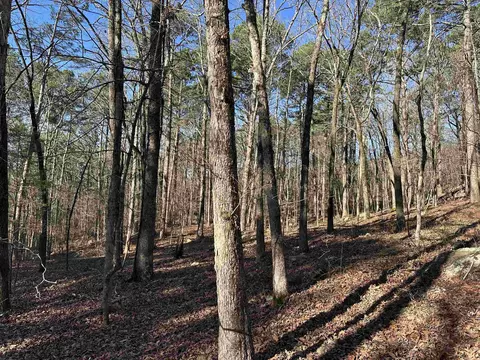 000 Bear Mountain Rd, Prim, AR 72130 photo 23