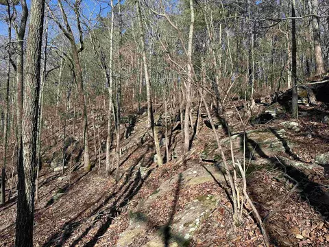000 Bear Mountain Rd, Prim, AR 72130 photo 17
