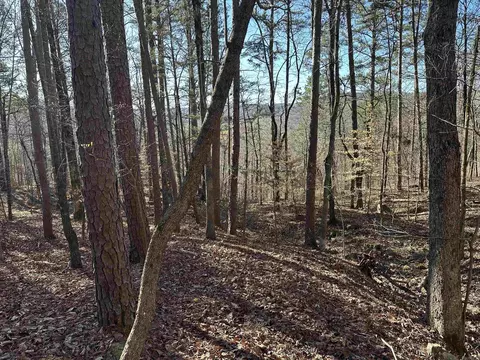 000 Bear Mountain Rd, Prim, AR 72130 photo 20