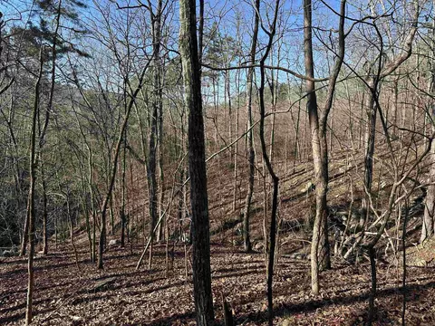 000 Bear Mountain Rd, Prim, AR 72130 photo 10