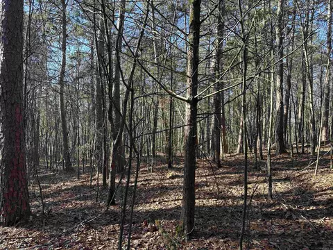 000 Bear Mountain Rd, Prim, AR 72130 photo 29