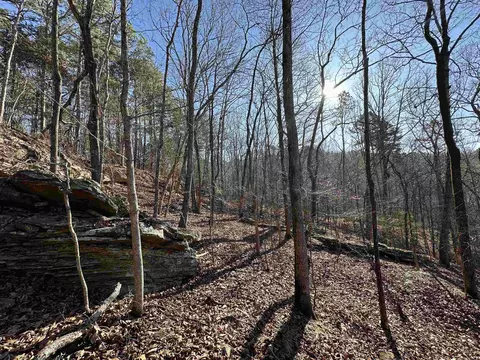 000 Bear Mountain Rd, Prim, AR 72130 photo 15