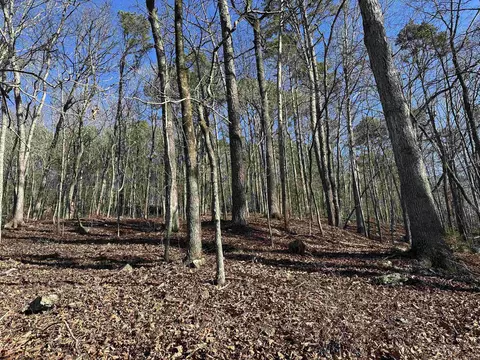 000 Bear Mountain Rd, Prim, AR 72130 photo 6