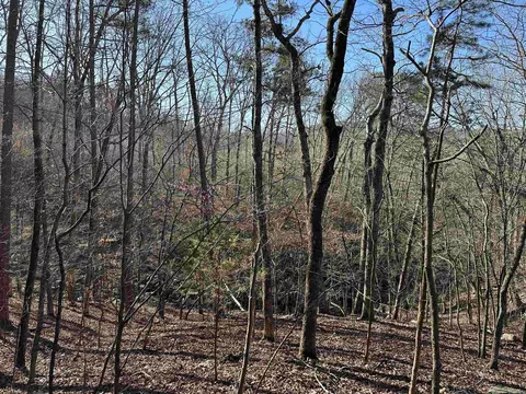 000 Bear Mountain Rd, Prim, AR 72130 photo 11