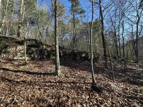 000 Bear Mountain Rd, Prim, AR 72130 photo 3