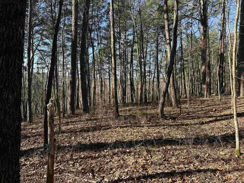 000 Bear Mountain Rd, Prim, AR 72130 photo 26