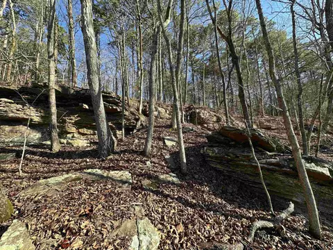 000 Bear Mountain Rd, Prim, AR 72130 photo 16
