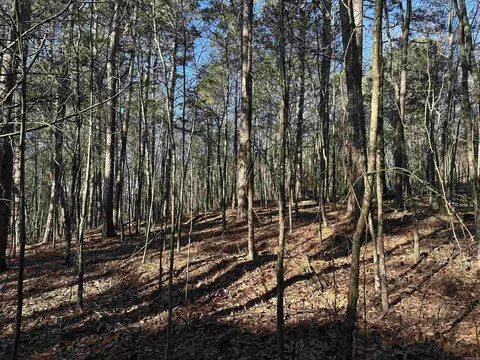000 Bear Mountain Rd, Prim, AR 72130 photo 30