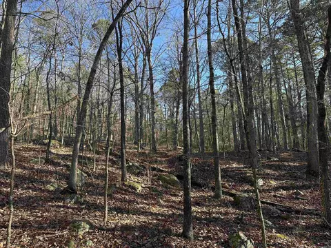 000 Bear Mountain Rd, Prim, AR 72130 photo 18