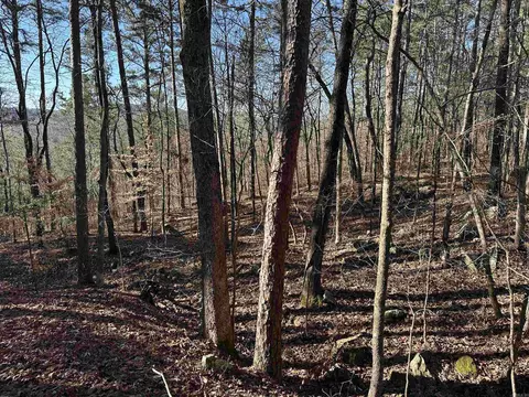 000 Bear Mountain Rd, Prim, AR 72130 photo 21