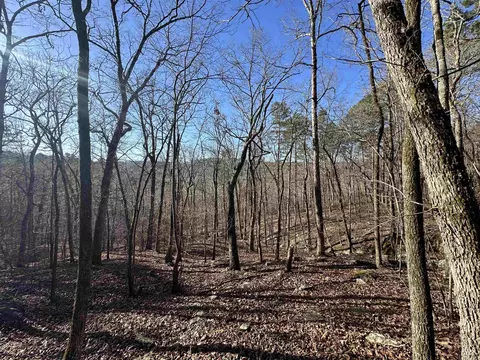 000 Bear Mountain Rd, Prim, AR 72130