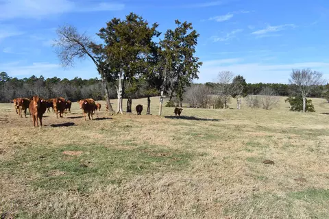 13883 Ritz Rd, Mena, AR 71953 photo 40