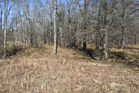 13883 Ritz Rd, Mena, AR 71953 photo 43