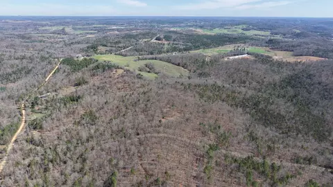 8 Red Lamb Rd, Melbourne, AR 72556 photo 2