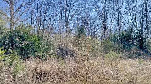 8 Red Lamb Rd, Melbourne, AR 72556 photo 9