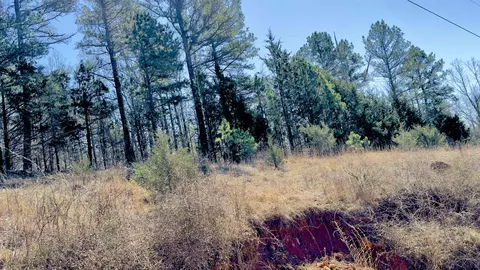 8 Red Lamb Rd, Melbourne, AR 72556 photo 8