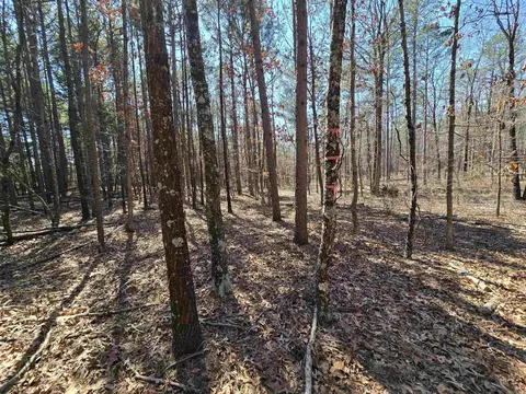 Other - 225 Dogwood Trl, Quitman, AR 72131 photo 8 of 11