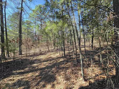 Exterior - 225 Dogwood Trl, Quitman, AR 72131 photo 9 of 12