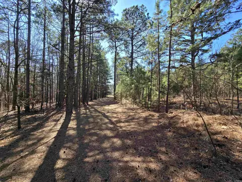 Other - 225 Dogwood Trl, Quitman, AR 72131 photo 7 of 11