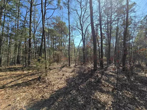 Exterior - 225 Dogwood Trl, Quitman, AR 72131 photo 11 of 12