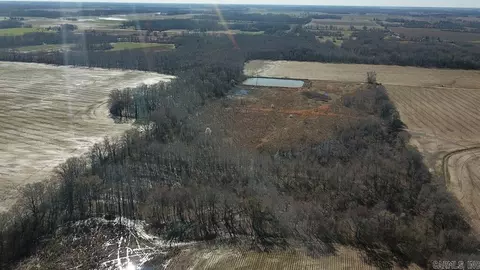 21 69 Acres Lee County, Moro, AR 72368 photo 4