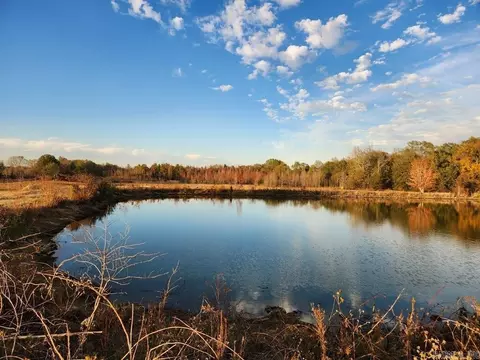 21 69 Acres Lee County, Moro, AR 72368